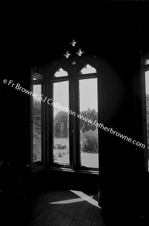 JOHNSTOWN CASTLE DRAWING ROOM WINDOW